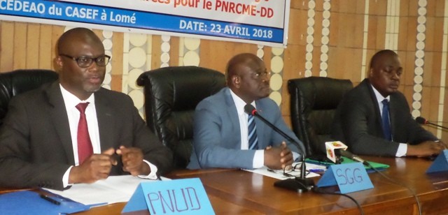 LE DOCUMENT DE LA STRATEGIE DE MOBILISATION DES RESSOURCES VALIDE A LOME