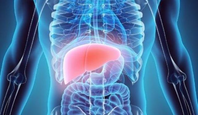 Diagnostic d&rsquo;un cancer du foie