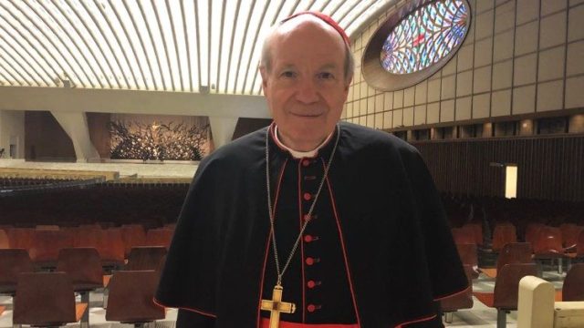Le cardinal Schönborn, envoyé du Pape pour le 1100e anniversaire du martyre de sainte Ludmilla