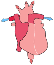 Mieux comprendre la mesure de la tension artérielle