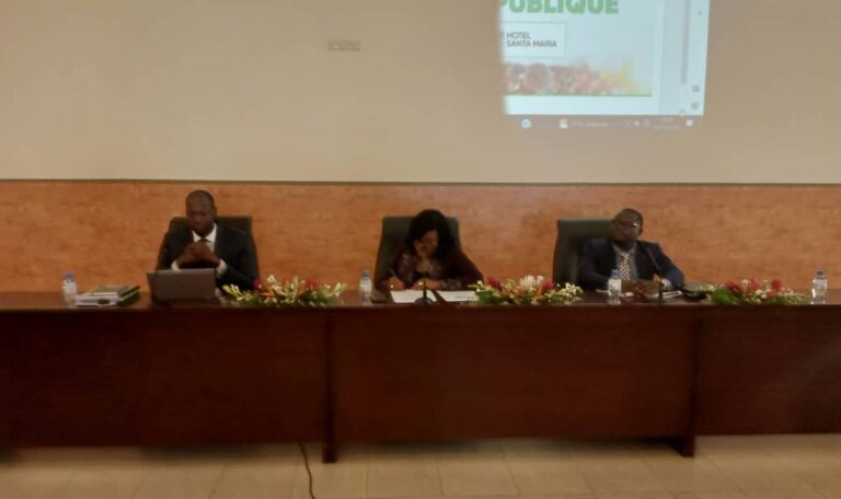 Togo-Les innovations dans la commande publique