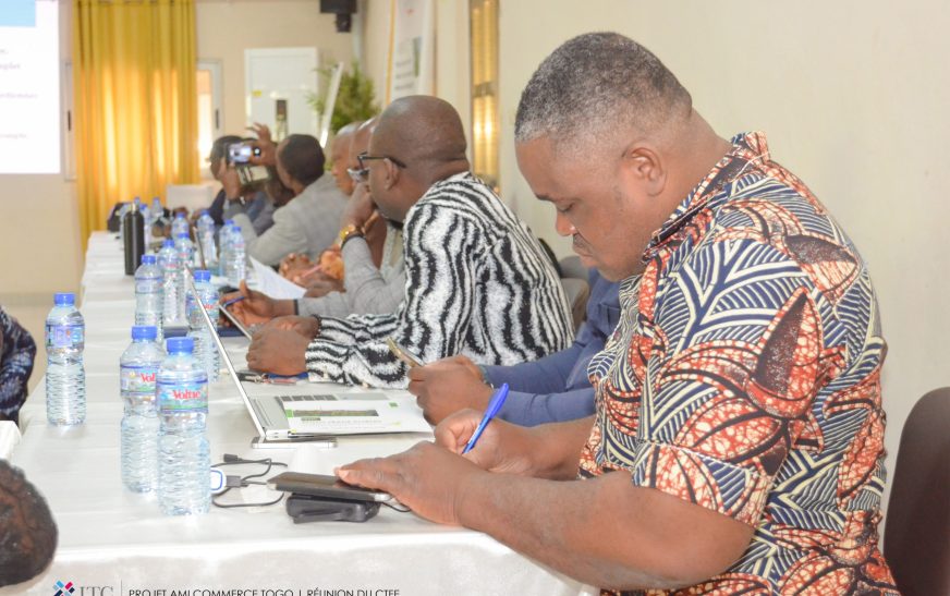 Un plan d&rsquo;actions pour réduire les barrières non tarifaires et simplifier les procédures commerciales au Togo