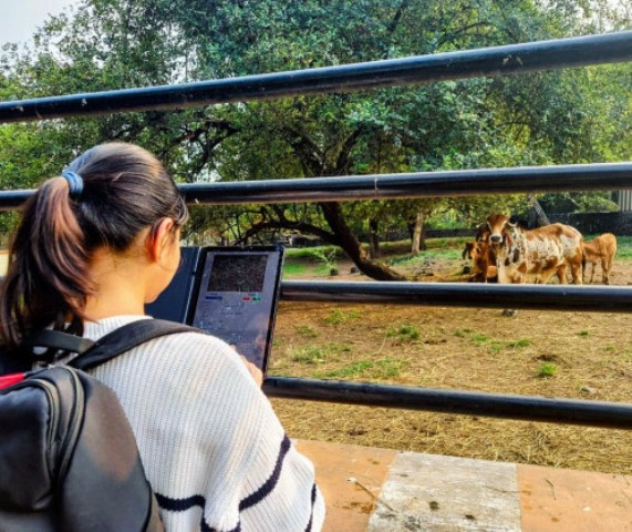 Journée mondiale des compétences des jeunes : Pour Jenny Ambukiyenyi Onya, Intelligence Artificielle (IA) est un formidable outil pour transformer le bétail des éleveuses africaines en source de financement