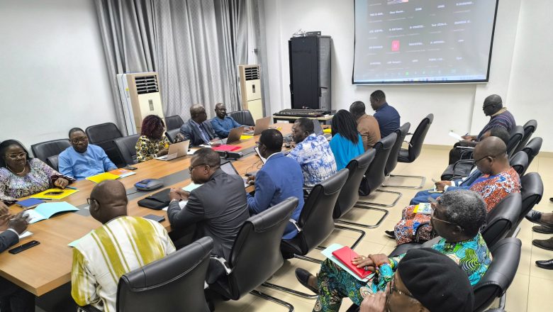 Togo : Le CNC-SS consulte le système de santé