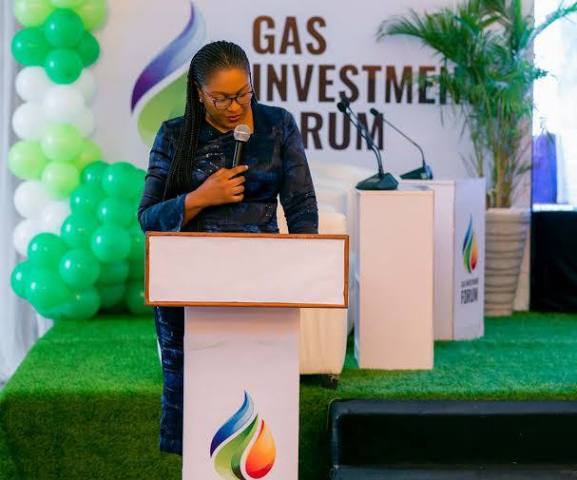 Chambre africaine de l’énergie (AEC) prône l’industrialisation tirée par le gaz lors du Forum sur l’investissement dans le gaz