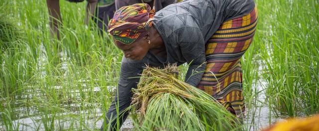 Le Fonds africain de développement octroie plus de 14 millions de dollars pour renforcer la résilience climatique des communautés au Sahel