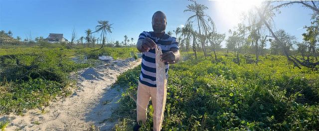 Un programme de pêche financé par le Groupe de la Banque africaine de développement améliore la vie de deux millions de personnes et stimule la transformation économique de 16 pays de la Communauté de développement de l&rsquo;Afrique Australe (SADC)