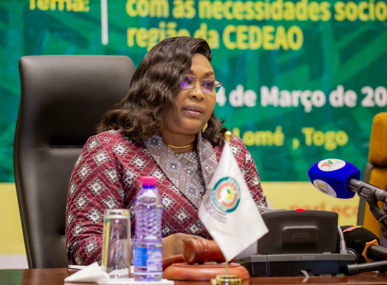 Parlement de la CEDEAO : La Commission éducation, science et culture planche sur l’adéquation des programmes d’études aux besoins du marché