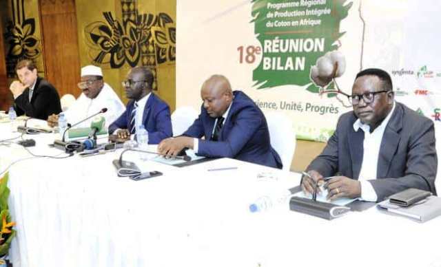 PR-PICA : Lomé abrite une rencontre décisive pour l’avenir du coton en Afrique
