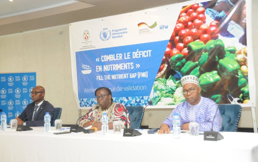 Togo : Validation des résultats de l&rsquo;étude « Combler le déficit en nutriments »