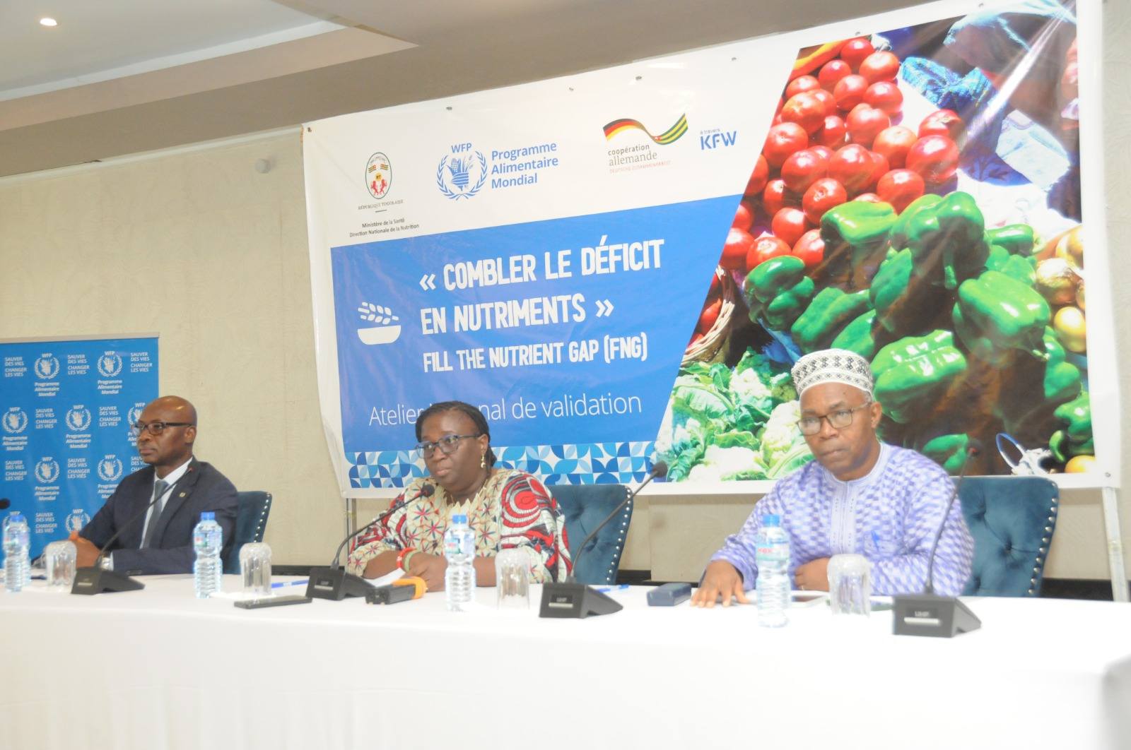 Togo : Validation des résultats de l&rsquo;étude « Combler le déficit en nutriments »