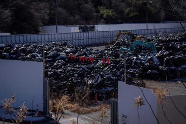 Terre décontaminée de Fukushima : le Japon franchit une étape clé pour sa réutilisation hors de Tokyo