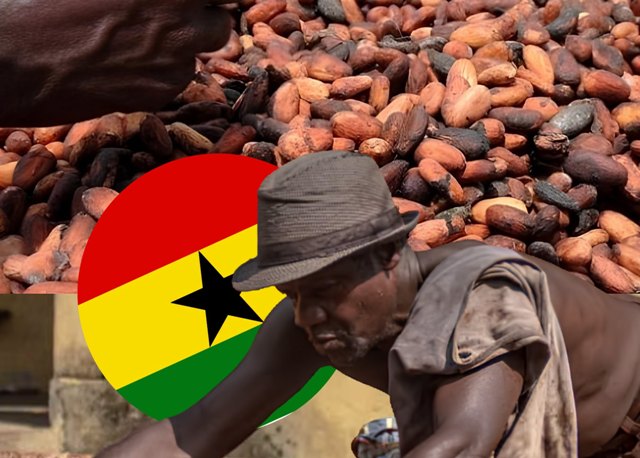 Cacao Ghana : 42 400 cedis la tonne, Abidjan à 1 200 FCFA