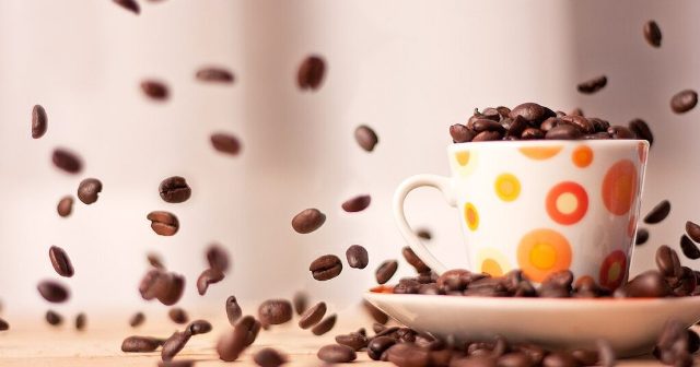 Café africain : 1 300 FCFA au planteur, 1 178 à Berlin
